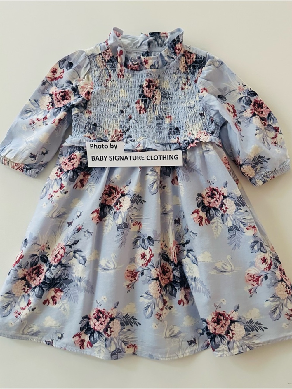 Janie and Jack 3T Toddler Girl Light Blue Swan Floral Smocked Dress The Sylvie